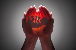 embryo silhouette in woman hand